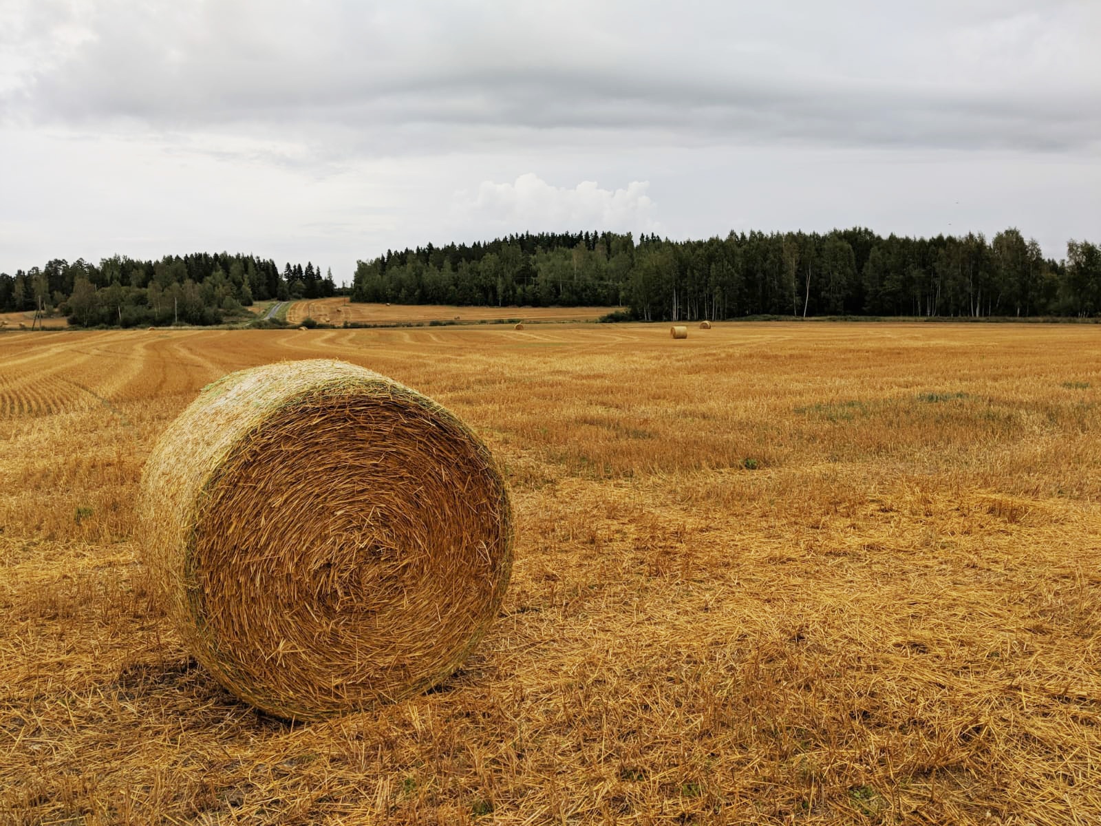 Puolimatkassa ollaan – hankekuulumisia 8 2019